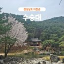 수승대 | 거창 여행 가볼만한곳 거북바위 수승대