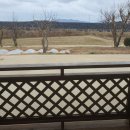 스테이독민박 이미지