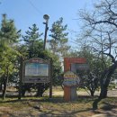 월정방풍림 이미지