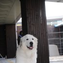 장순농장 이미지