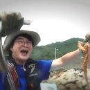 금일에스앤에프㈜ 이미지