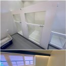 도그힐튼 이미지