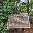 도리1리 이미지