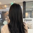 정다연헤어 | 홍대미용실 정다연헤어 밀본 클리닉으로 영양주기