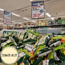 이마트24대구신남역점 | 대구 성서 이마트 고래잇페스타 혼자 다녀온 솔직후기 |과자 무한담기 현실|