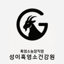 강동건강원 - 춘천시 춘천로167번길 33 | 강동건강원