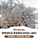 하늘어린이집 | 평택대 벚꽃축제 18개월 아기랑 다녀온 후기(주차, 놀이기구, 푸드트럭)