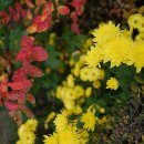 금강로하스 해피로드(1) | 금강 자전거 길 - 대청댐 가는 길