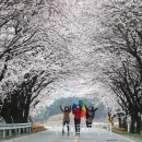 (주)팝콘투어