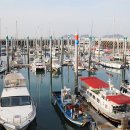 전곡항마리나 이미지