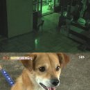 똘이농장 스포츠조선