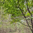 삼길산 화장실 이미지