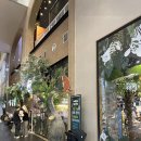 푸른별 귀큰여우 PC방 | [테이블에이송도점]실내동물원 후기 아이들과가볼만한곳 동물종류 송도데이트 실내데이트