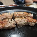 돼지 삼촌 이미지