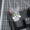 강산동물병원 | 뒤죽박죽 어지러운 25년 9월 조각 모음