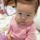 푸시폴리127