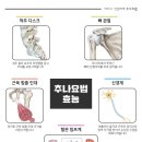 용인부부한의원 이미지