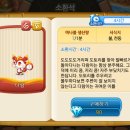 다람 이미지