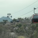 26년7월19일 제천 자드락길2코스 정방사,비봉산 케이불카,옥순봉 출렁다리 이미지