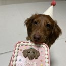 탄앤쿠키 이미지