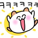 돈카츠모 이미지