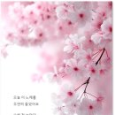 어른 – 손디아 이미지