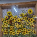 중화요리가미 | 40년 전통 중화요리 '가미' 개금 시장 내 맛집 방문후기