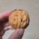파리바게뜨 세종종촌점 | 세종 호두과자, 카스테라 맛집 '하르당 세종종촌점' 내돈내산 솔직후기