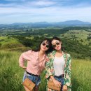 윈드힐(Wind Hill) 이미지