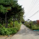 용옥농장 이미지