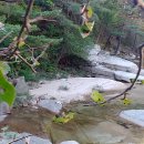 오송송어장 이미지