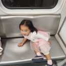 녹지약국 이미지