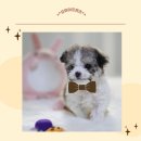 오마이프렌즈 이미지