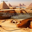 뉴욕스포츠 티스토리