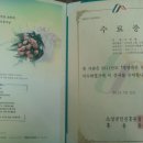 주공이용원 Daum카페