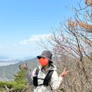 관문성 | [울산 북구 등산] 진달래로 유명한 삼태봉 후기(코스,소요시간,난이도) feat.논탄토
