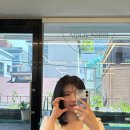 고양이 있는 회기 사진관 스튜디오줌인 빈티지 프로필 후기(+고양이 미용실 엣플레이살롱)
