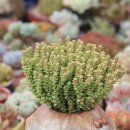 (주)희성 이미지