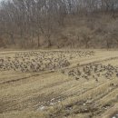 파평면 행정복지센터 이미지