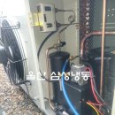 우성진열장