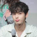 차은우 이미지