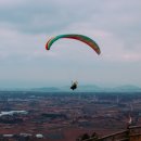 금오름농장 이미지