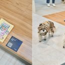 (주)마루펫 이미지