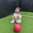 카페 더샤이어 이미지