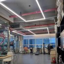 알짐 리커버리 이미지