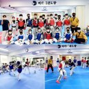 통일태권도장 | 비각 생활체육 겨루기팀 재운영 실시! 현재까지 13명 등록 완료! 서울성인태권도 대학태권도동아리 환영~