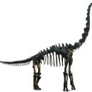 브라키오사우루스 이미지