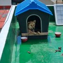 김녕 연지민박 이미지