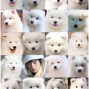 멈무는하루 이미지