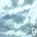 화장산 캠핑장 이미지